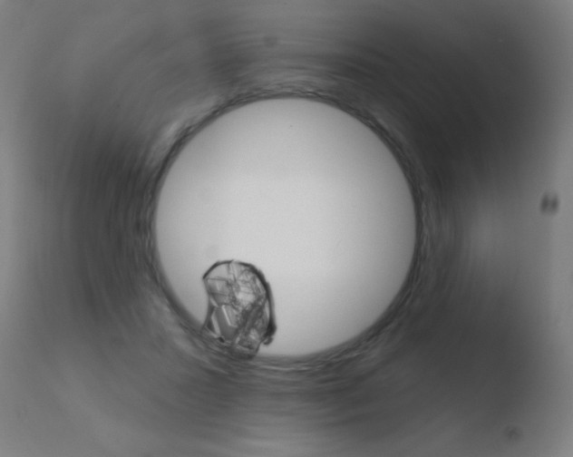 X0000110720407200906121252