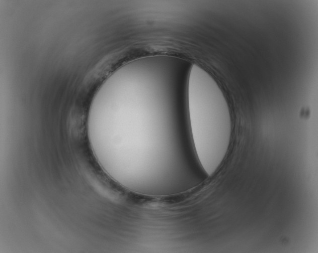 X0000110720408200906121252