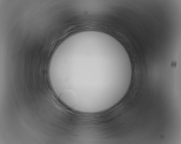 X0000110720409200906121252