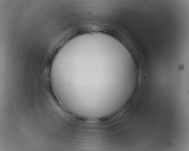 X0000110720410200906121252