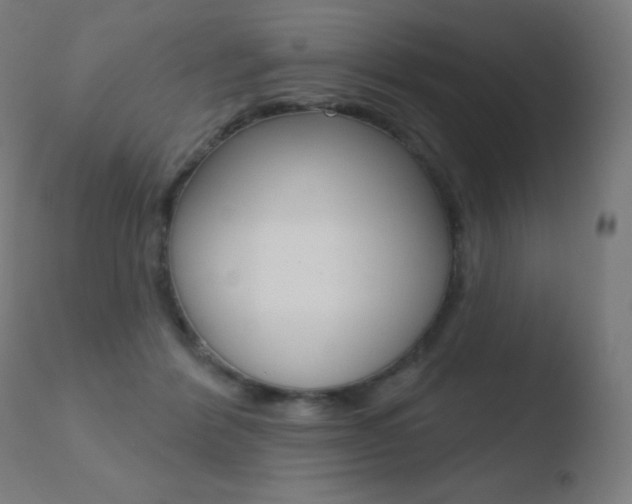 X0000110720412200906121252