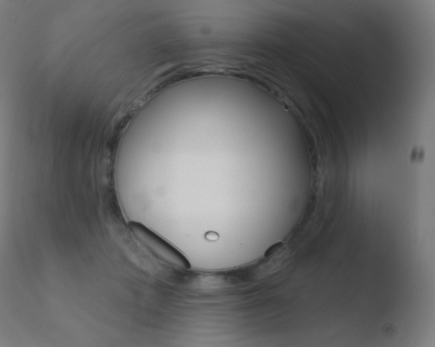 X0000110720413200906121252