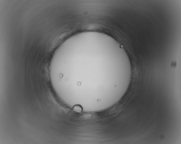 X0000110720415200906121252