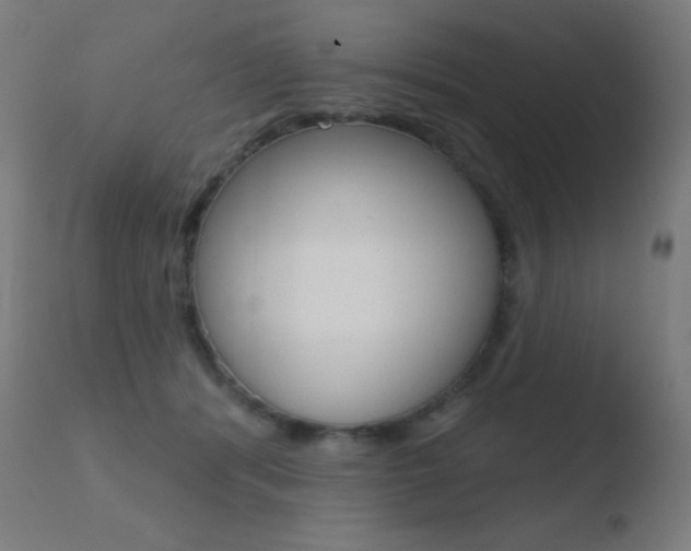 X0000110720416200906121251