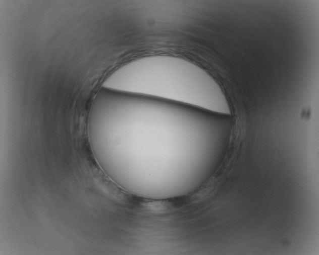 X0000110720417200906121251