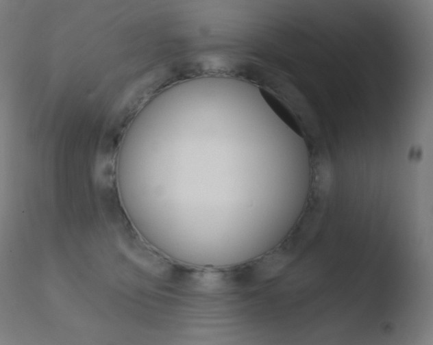 X0000110720419200906121251