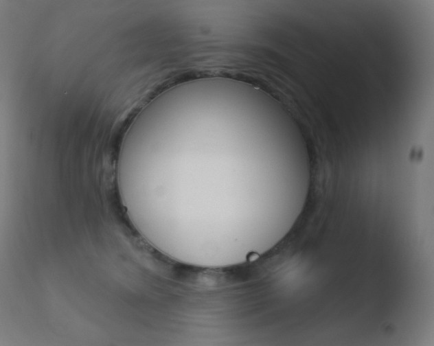 X0000110720420200906121251