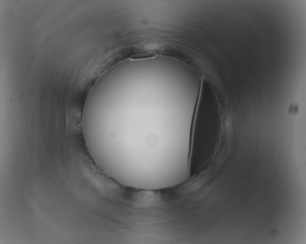 X0000110720421200906121251