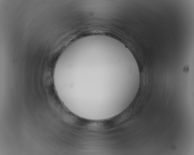 X0000110720422200906121251