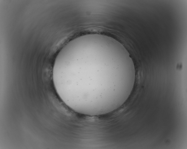X0000110720424200906121251