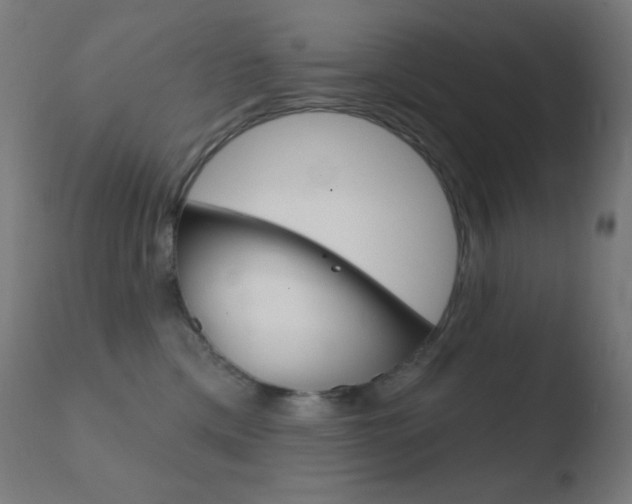 X0000110720425200906121251