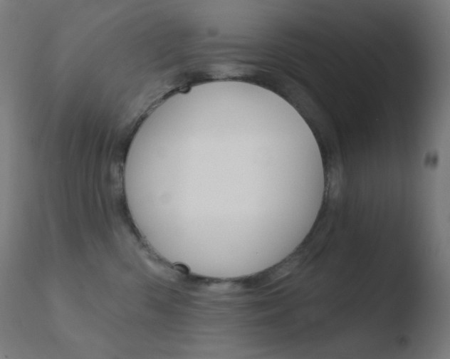 X0000110720426200906121251