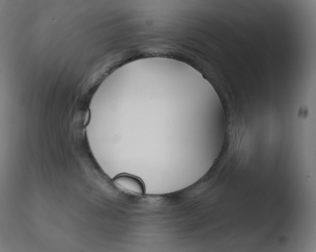 X0000110720428200906121251