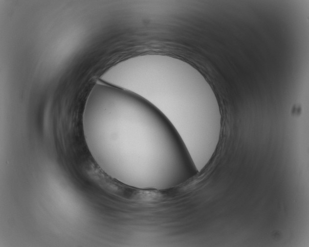 X0000110720429200906121251
