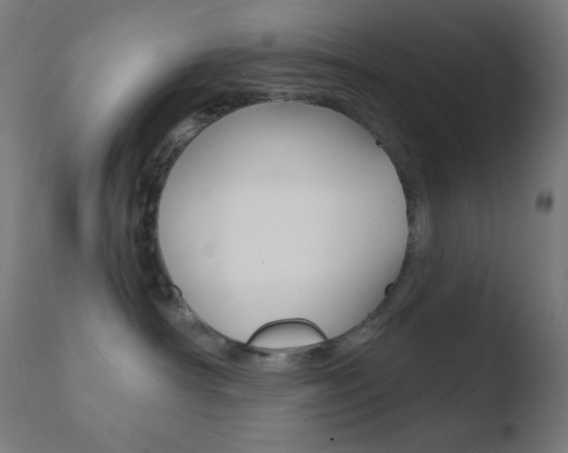 X0000110720430200906121251