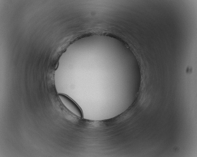 X0000110720432200906121251