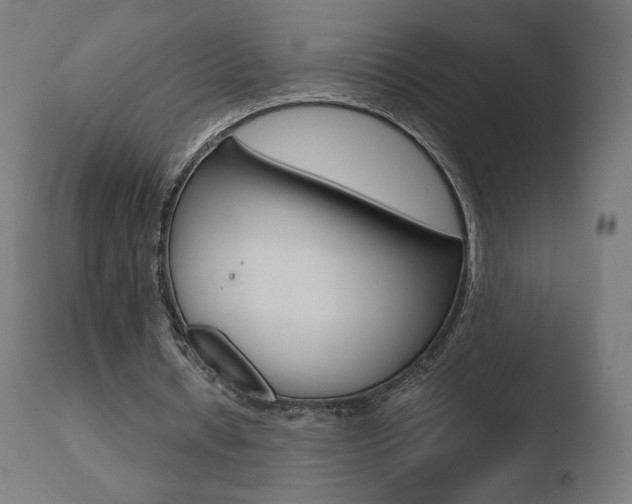 X0000110720434200906121250