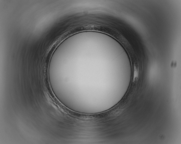 X0000110720435200906121250