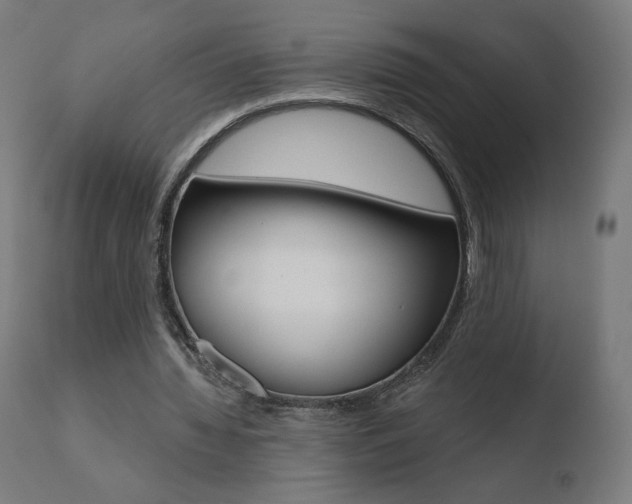 X0000110720436200906121250