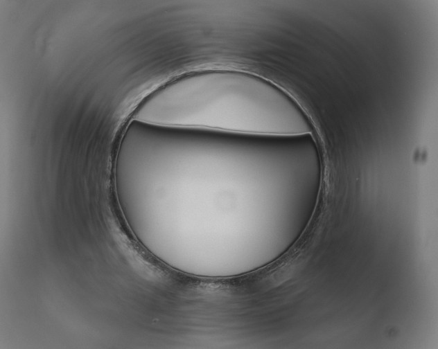 X0000110720437200906121250