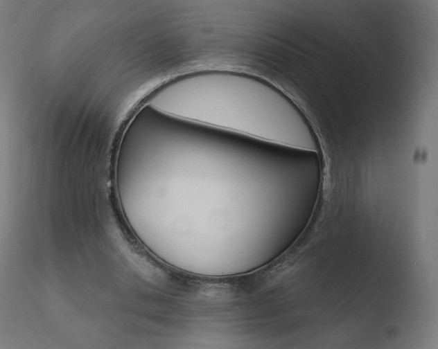 X0000110720438200906121251