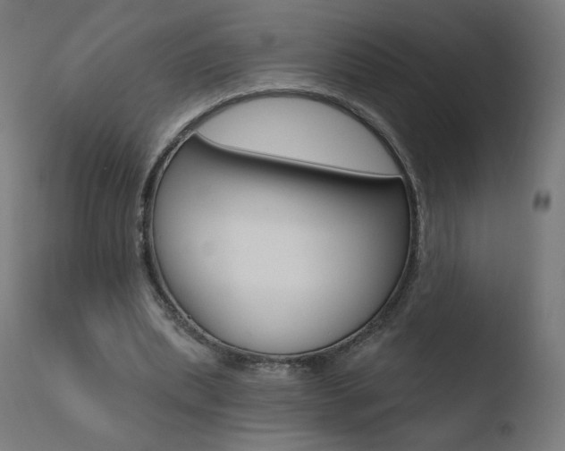 X0000110720439200906121251