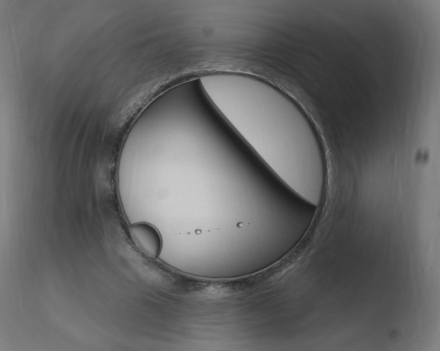 X0000110720441200906121251