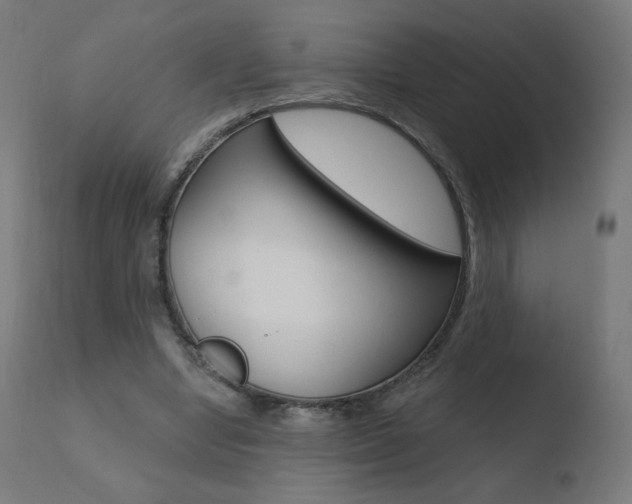 X0000110720442200906121251