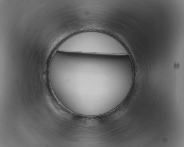 X0000110720443200906121251