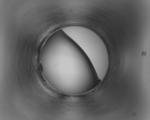 X0000110720444200906121251