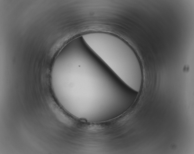 X0000110720445200906121251