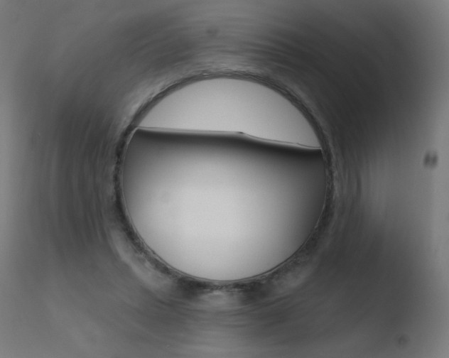 X0000110720447200906121251