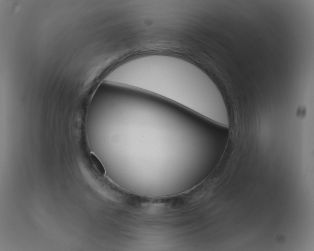 X0000110720448200906121251