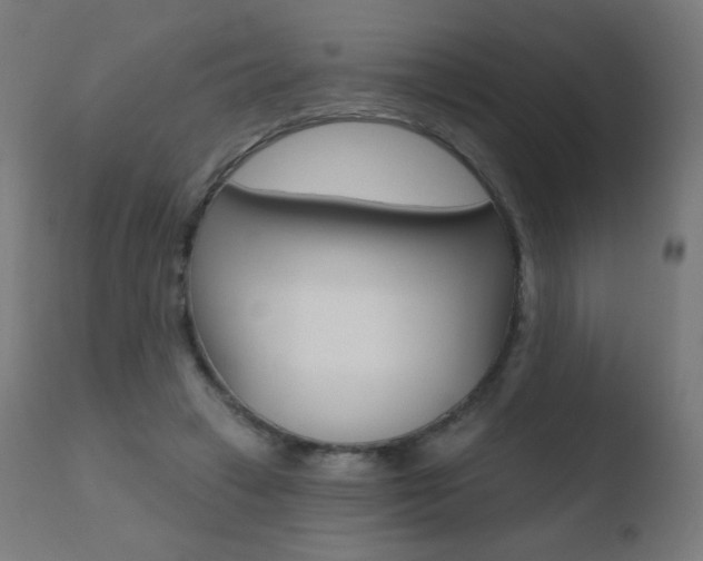 X0000110720449200906121251