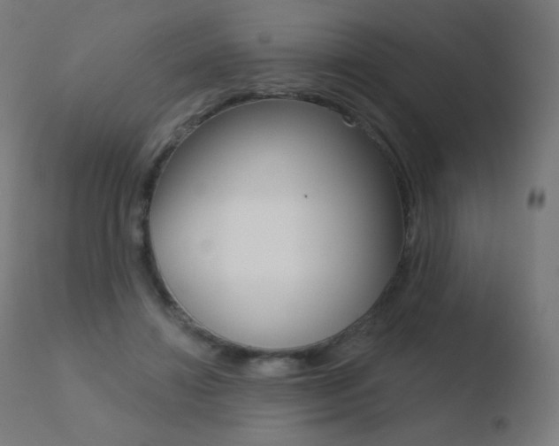 X0000110720452200906121251