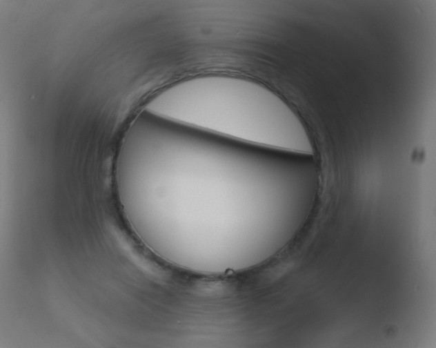 X0000110720454200906121251