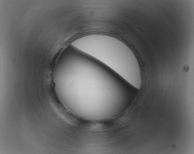 X0000110720456200906121251