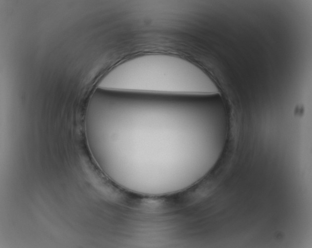 X0000110720457200906121251