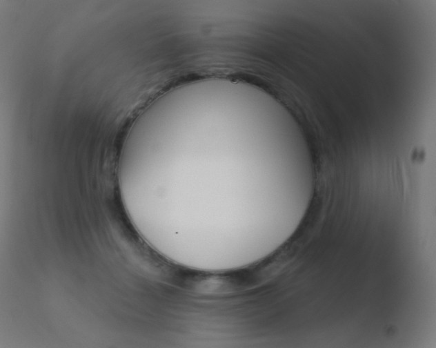 X0000110720460200906121251