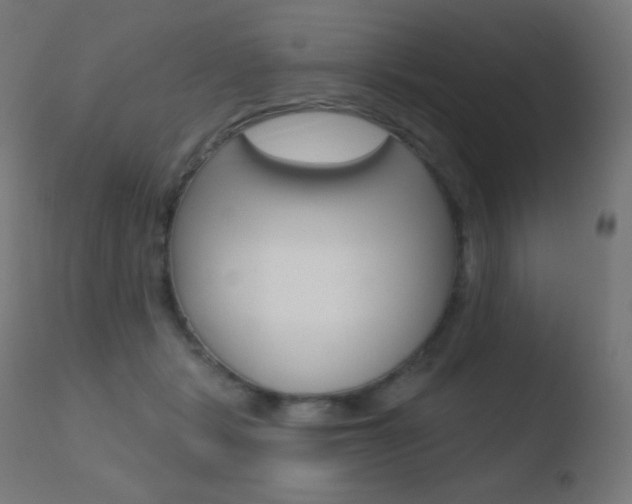X0000110720461200906121251