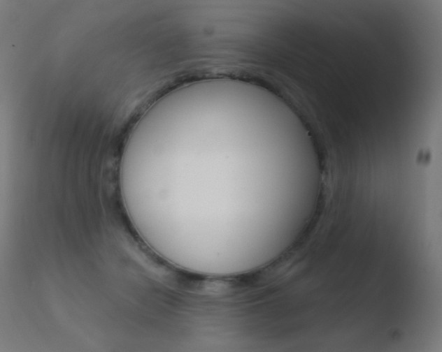 X0000110720462200906121251