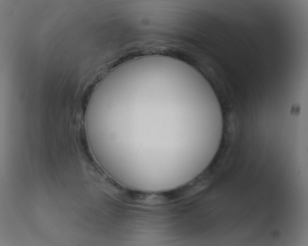 X0000110720463200906121251