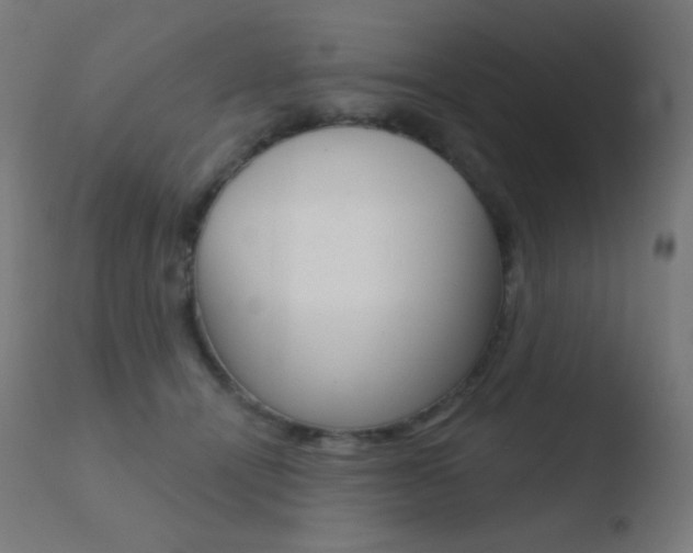 X0000110720464200906121251