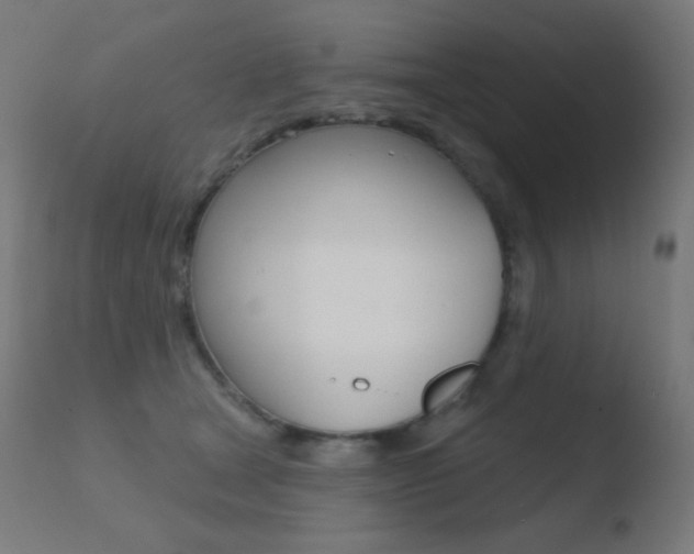 X0000110720465200906121251