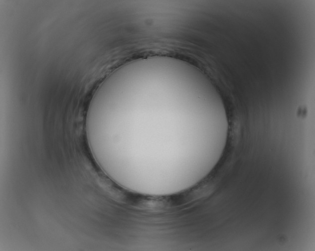 X0000110720466200906121251