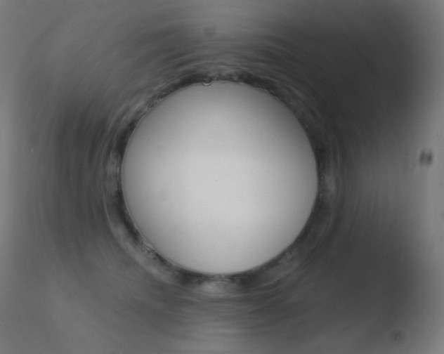 X0000110720468200906121251
