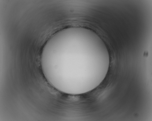 X0000110720469200906121251