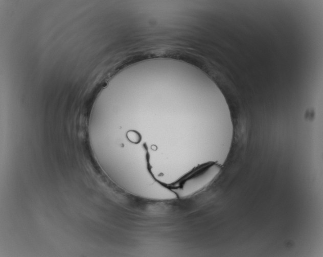 X0000110720470200906121251