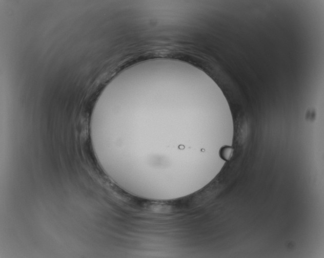 X0000110720471200906121251