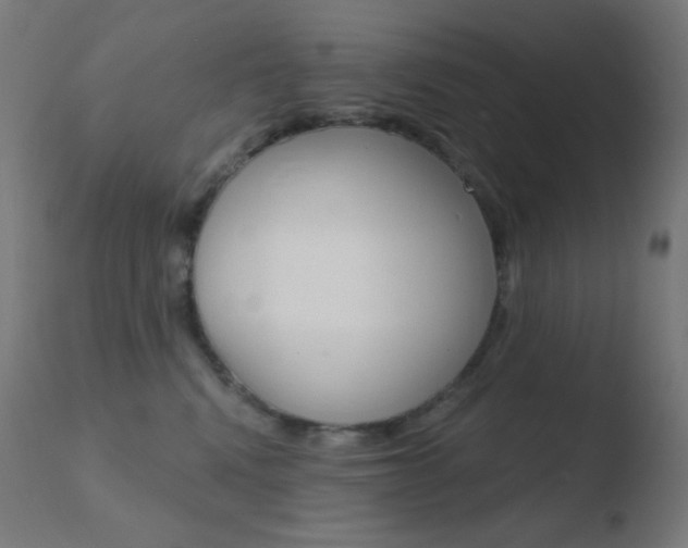 X0000110720472200906121251